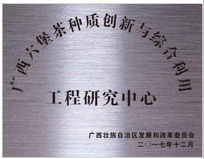 雙星閃耀 創新驅動——廣西梧州六堡茶股份榮獲科技創新突出貢獻與文化品牌建設雙料殊榮